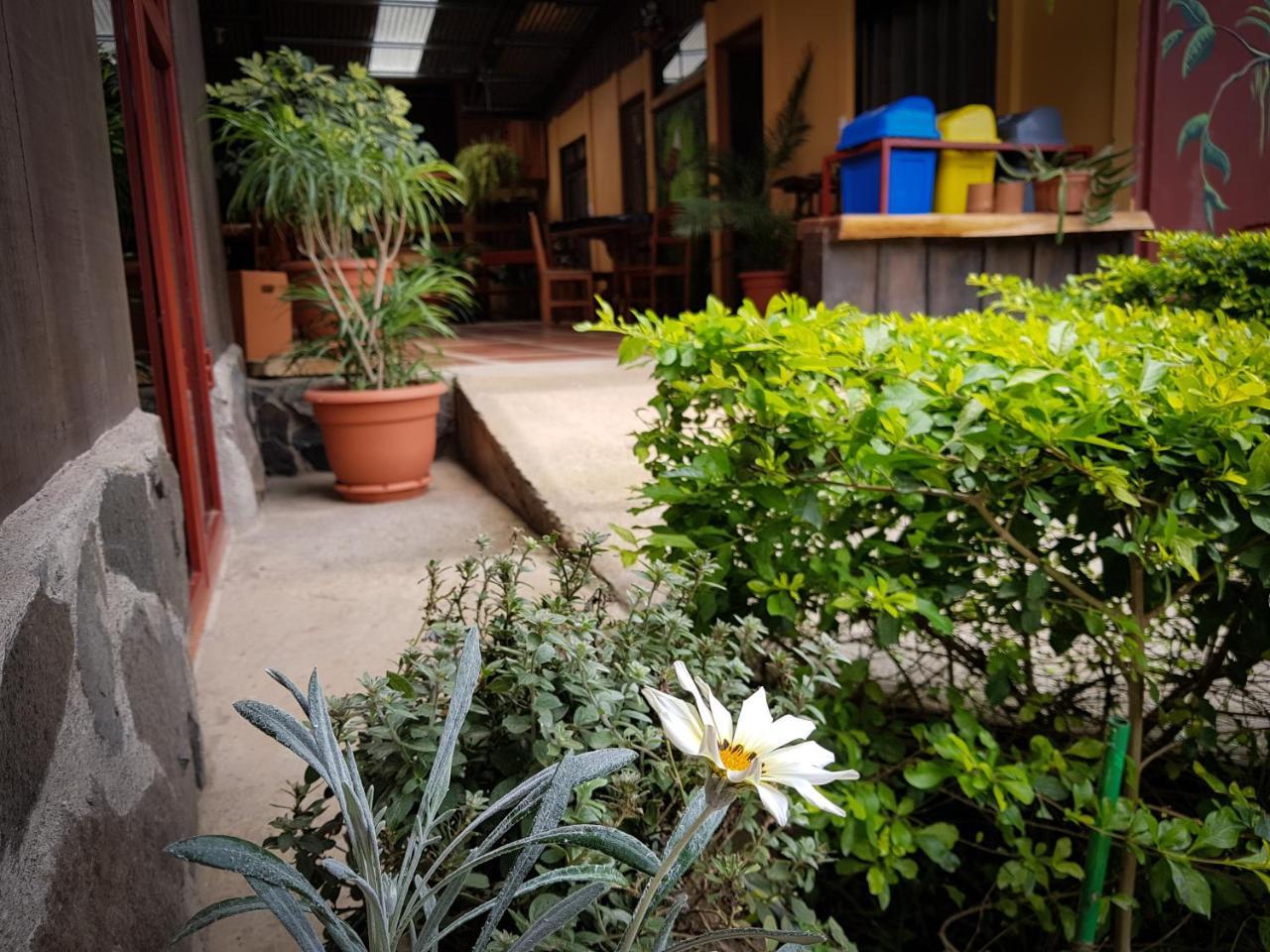 Greemount Hotel Monteverde Exterior foto
